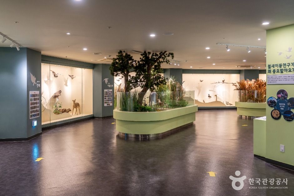 서천군 조류생태전시관 이미지 6