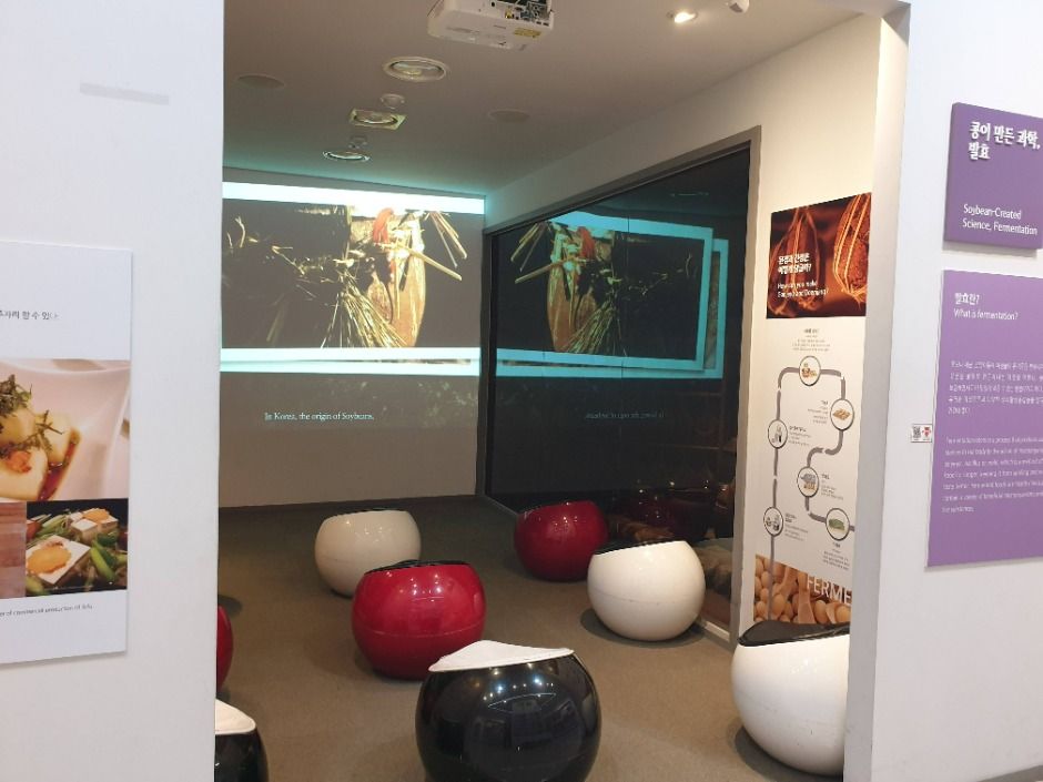 영주 콩세계과학관 이미지 3