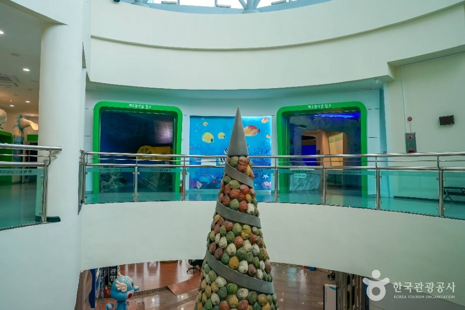 창원 해양생물테마파크 이미지 7