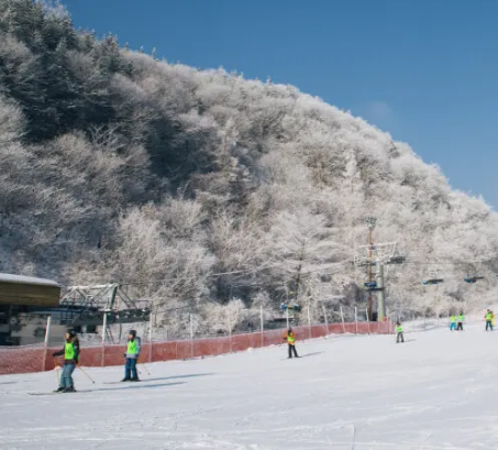 엘리시안 강촌 스키장 이미지 3