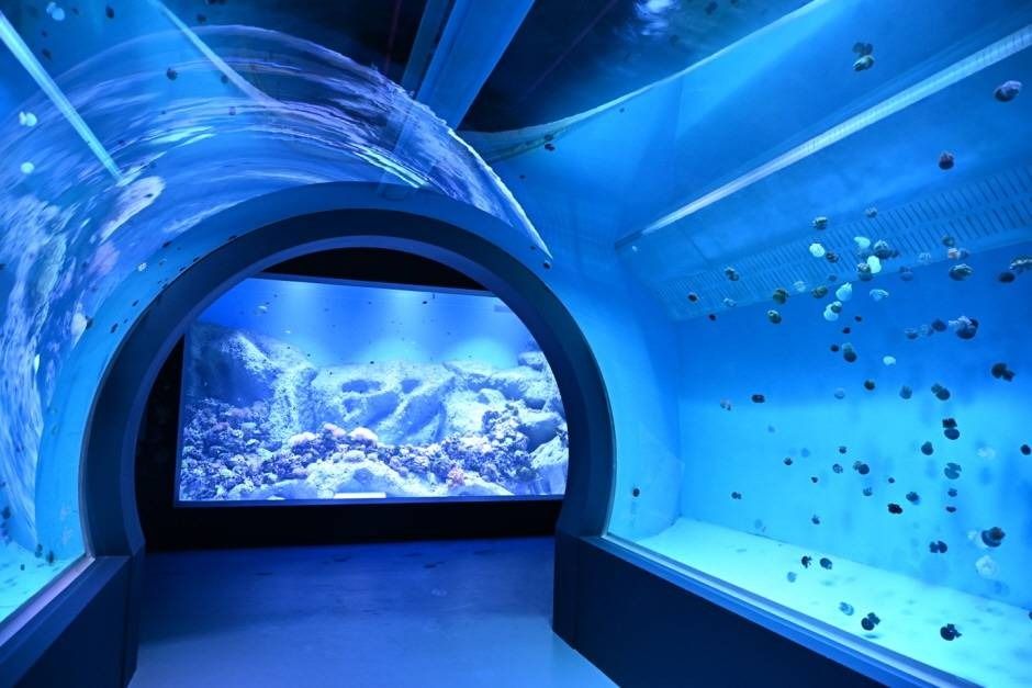 시흥 해양생태과학관 이미지 3