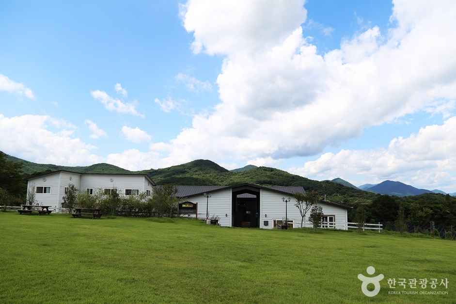 하동 해뜰목장 이미지 3