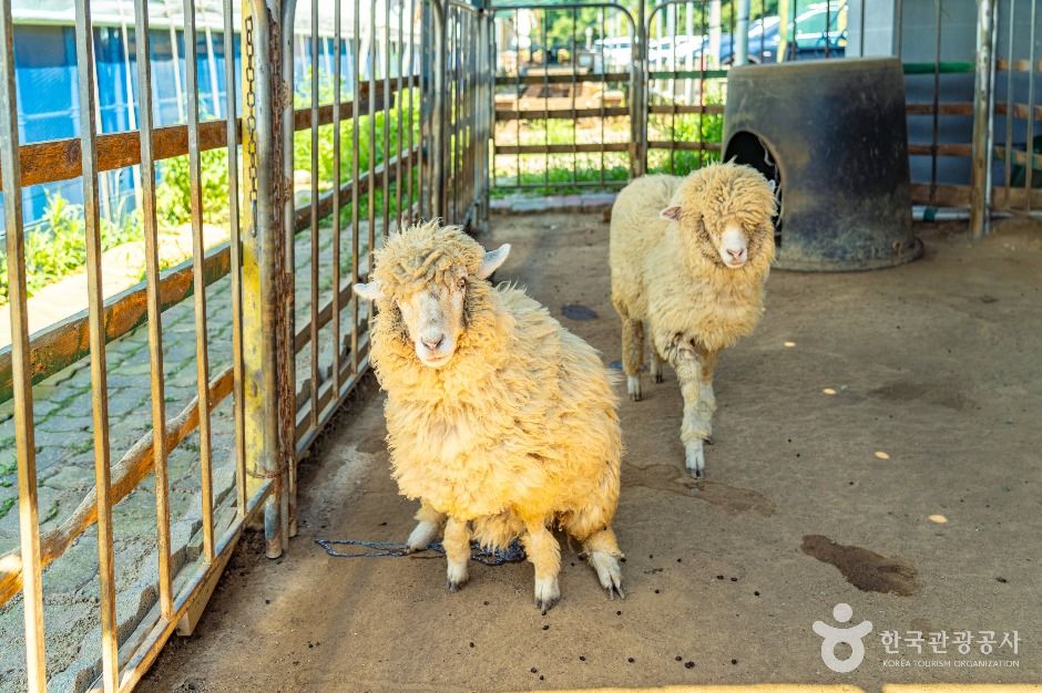 자연아놀자 체험학습박물관 이미지 5