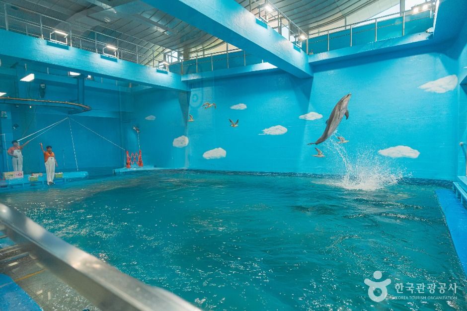 장생포 고래생태체험관 이미지 2
