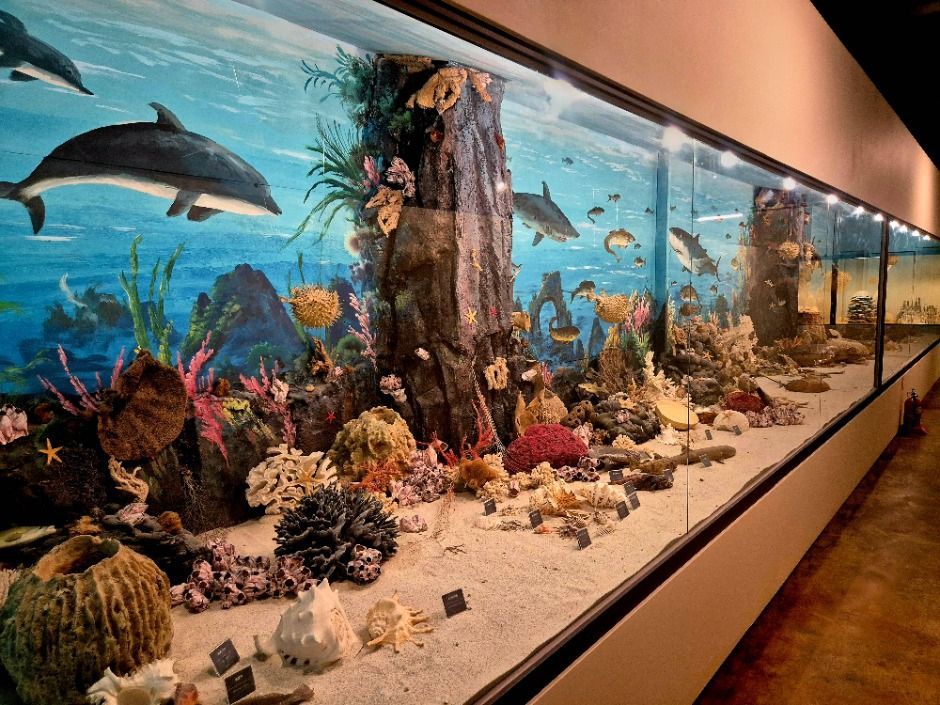 예술정원1999 이미지 6