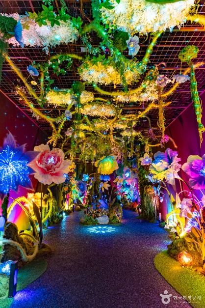 코스믹 리조트 이미지 5