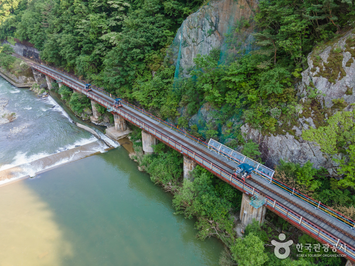 정선 레일바이크 이미지 2