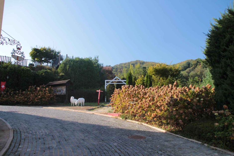 에델바이스 스위스 테마파크 이미지 8