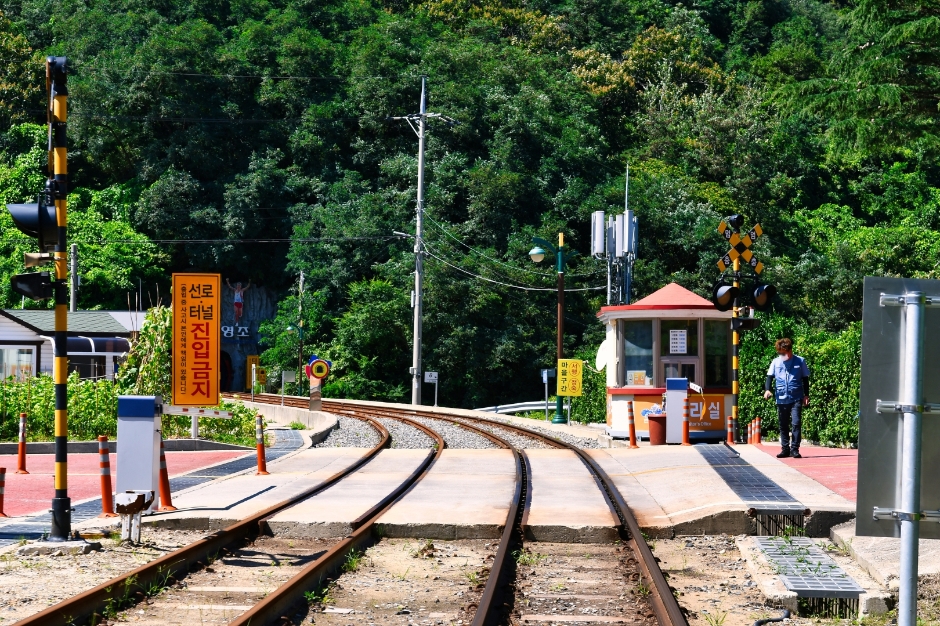 삼척 해양레일바이크 이미지 3