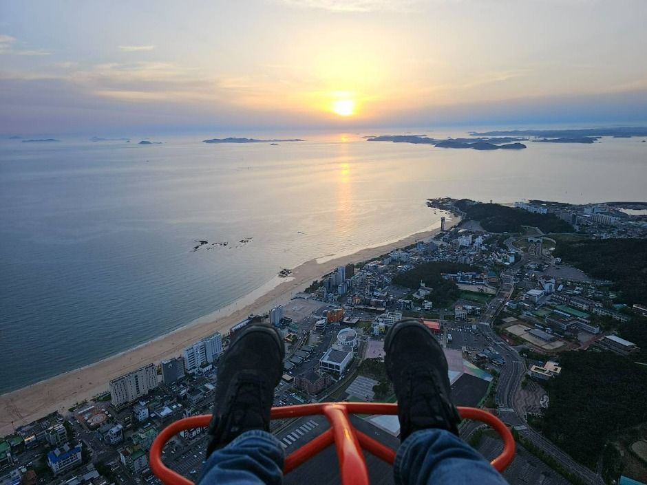 보령 다빈치동력패러 이미지 4