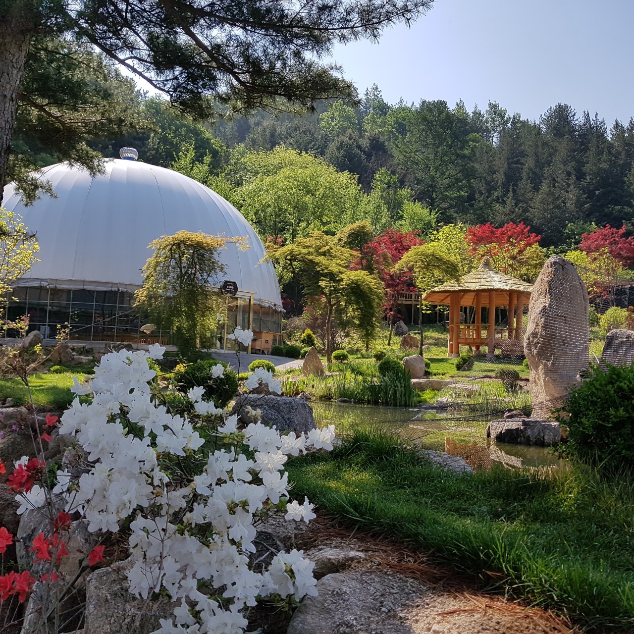 아침고요가족동물원 이미지 8