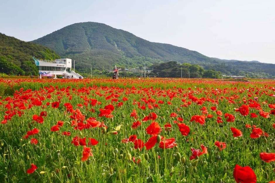 하동 레일파크 이미지 3