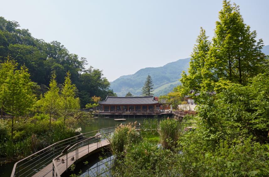 화담숲 모노레일 이미지 10