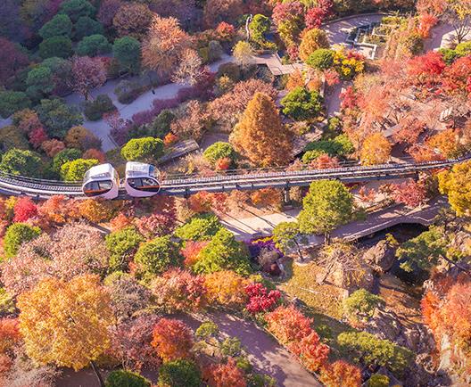 화담숲 모노레일 이미지 8