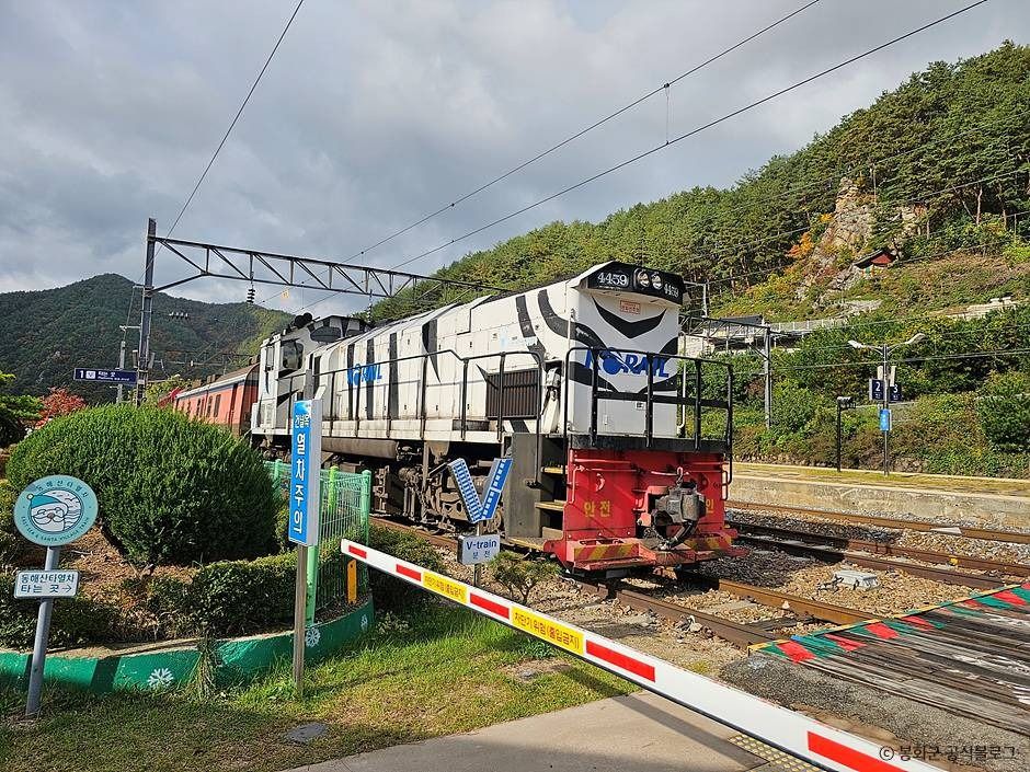 백두대간협곡열차 이미지 1