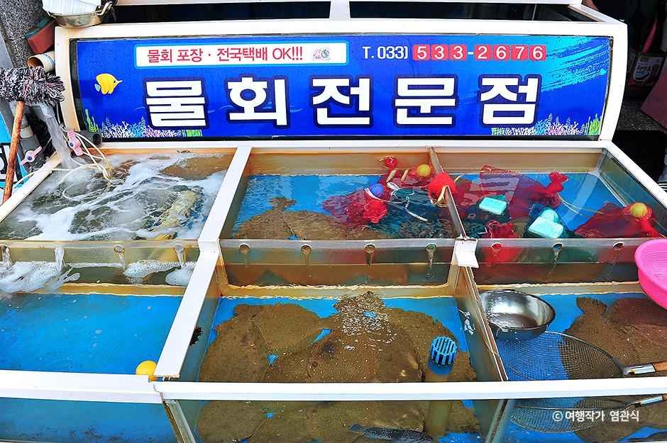 오부자냄비물회 이미지 5