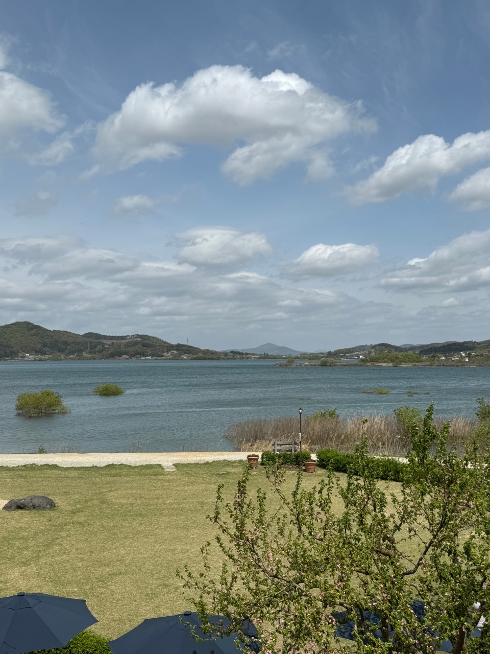 알바노 이미지 8