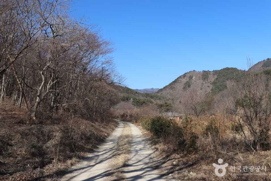 경주 왕의 길 이미지 5