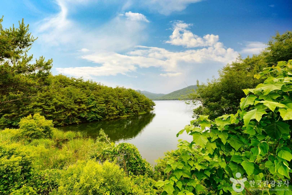 고창 운곡람사르습지 이미지 2