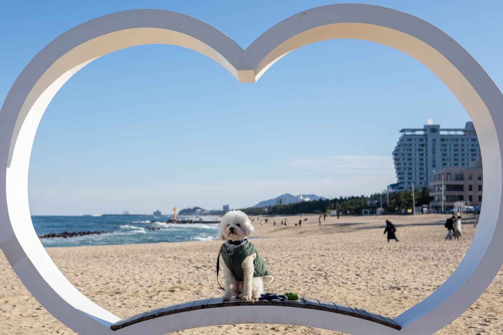 강문해변 이미지 3