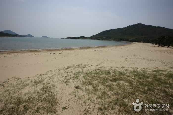 도초 시목해수욕장 이미지 3