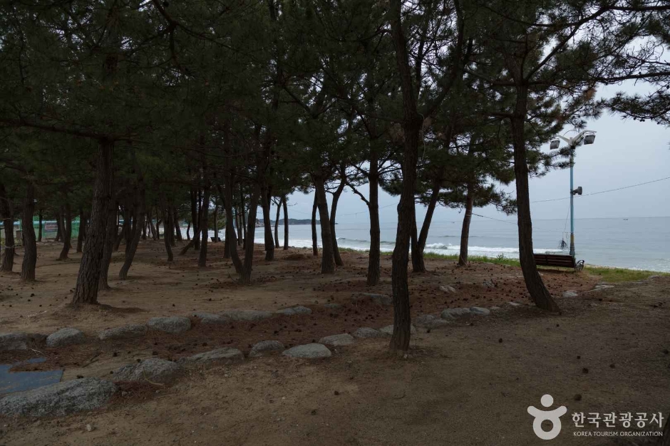 동산해수욕장 이미지 5