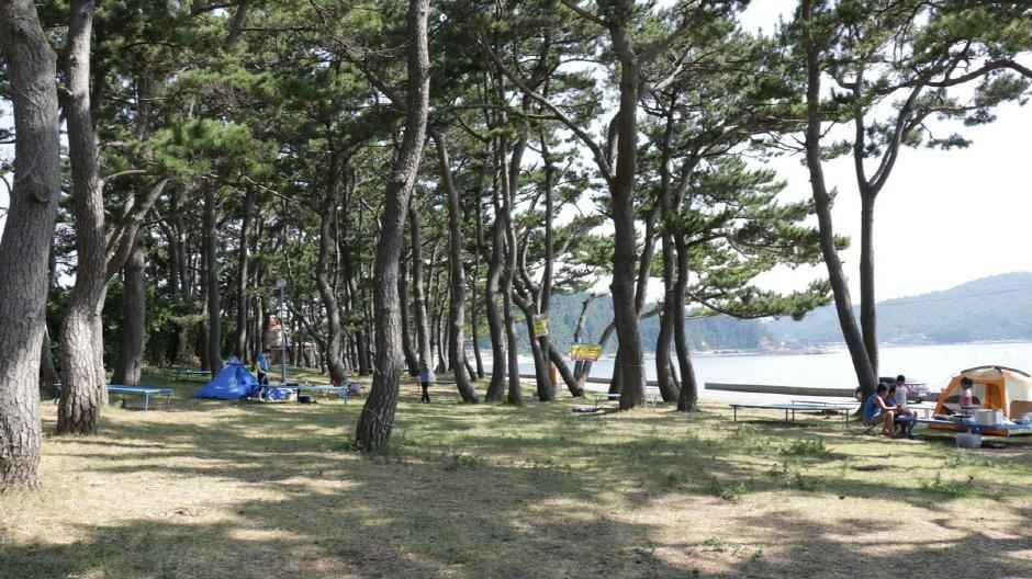 동고리해수욕장 이미지 4