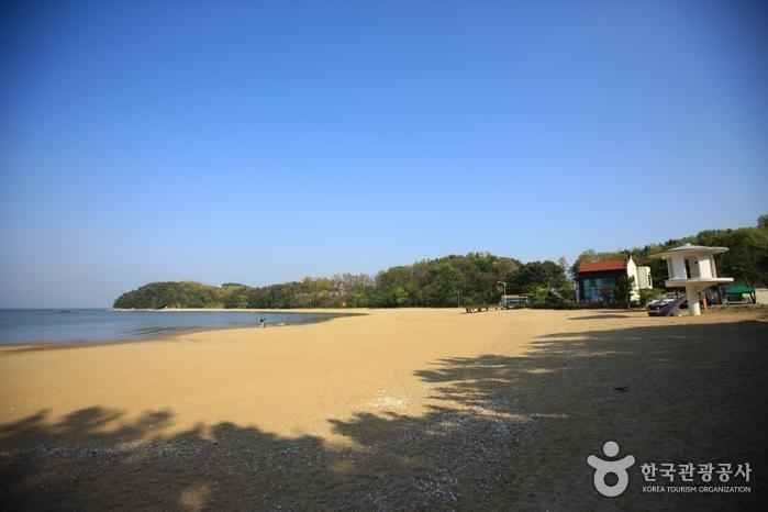 수기해변 이미지 1