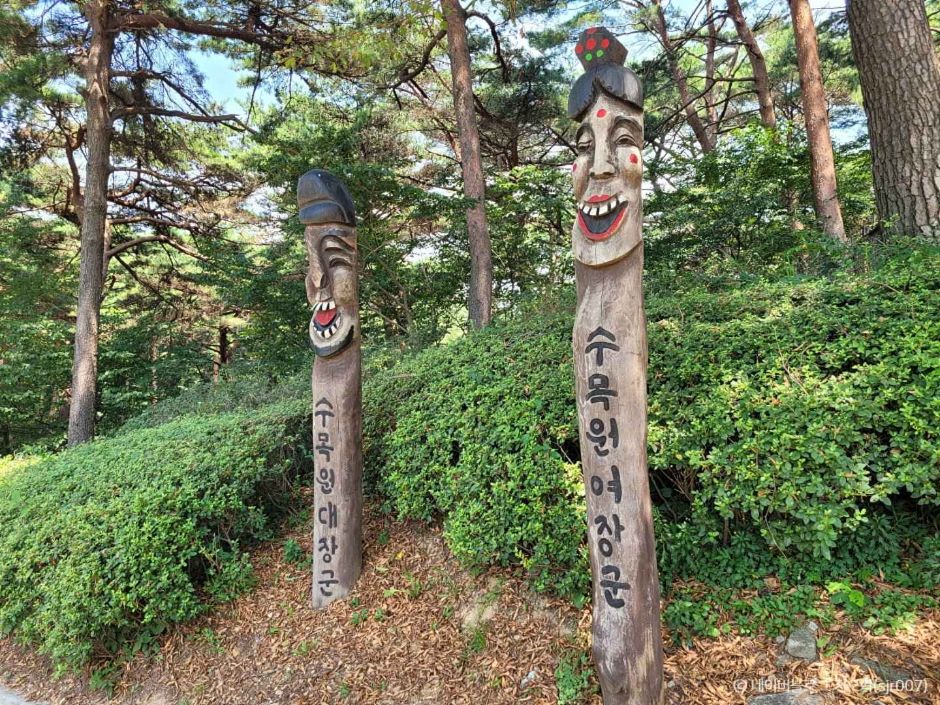 안면도수목원 이미지 2