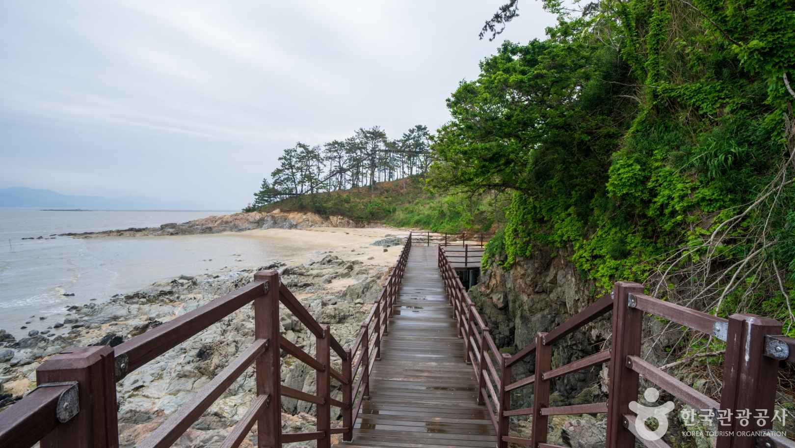 동호해수욕장 이미지 2