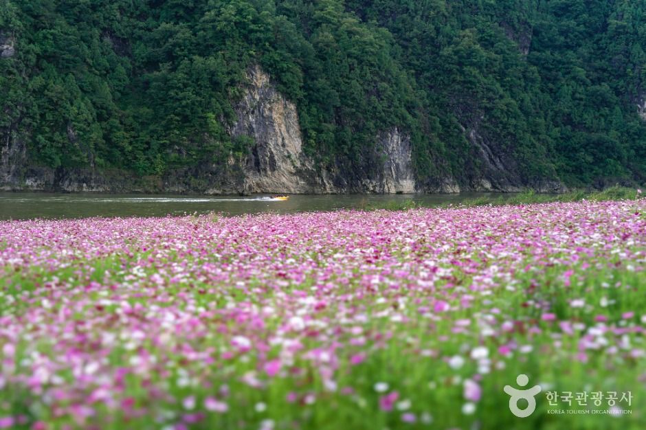 단양 도담정원 이미지 2