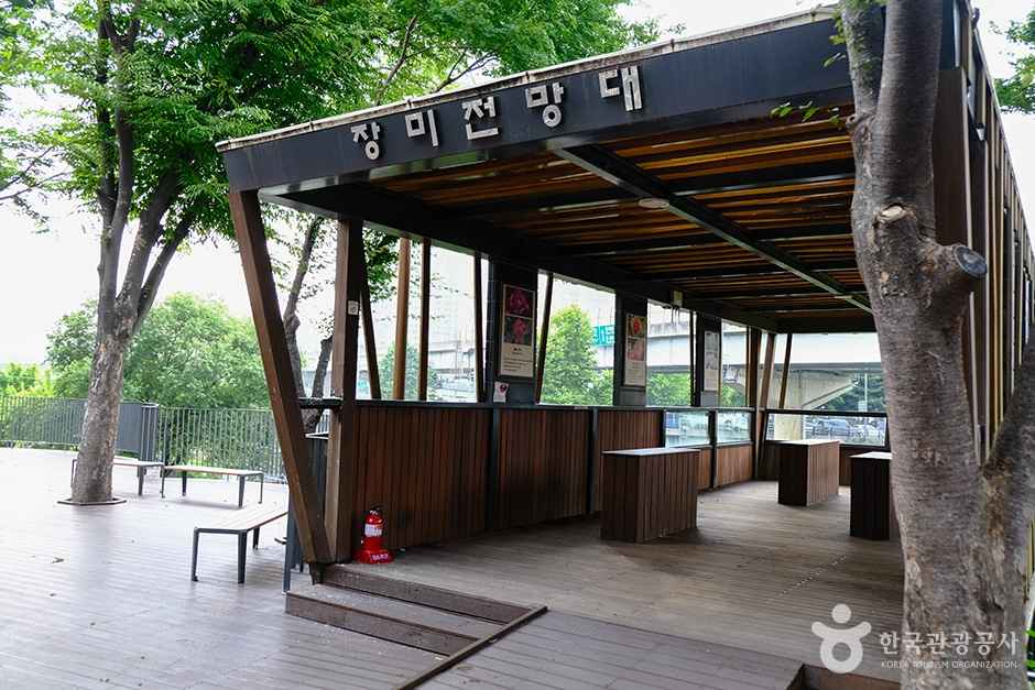 중랑장미공원 이미지 5
