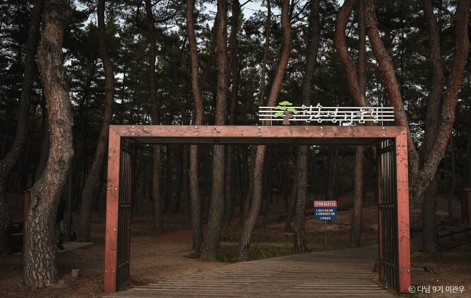 월송정 이미지 3