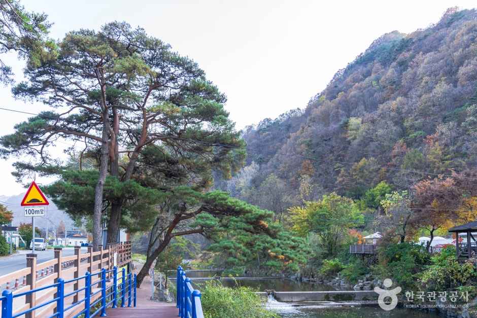 남천계곡 이미지 3