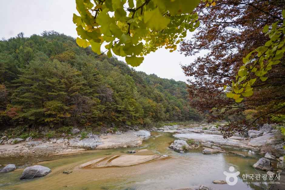 사미정계곡 이미지 2