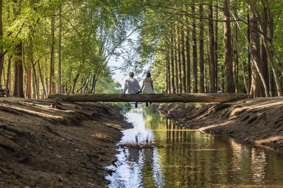 경북천년숲정원 이미지 3