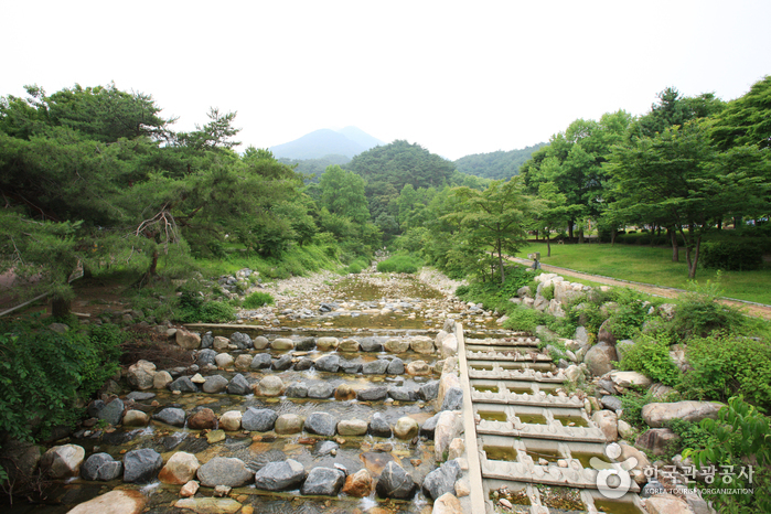 용문산 관광단지 이미지 6