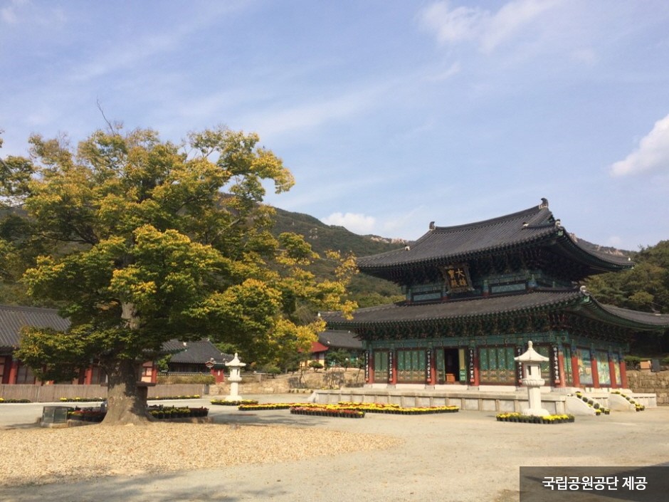 도갑사 이미지 3