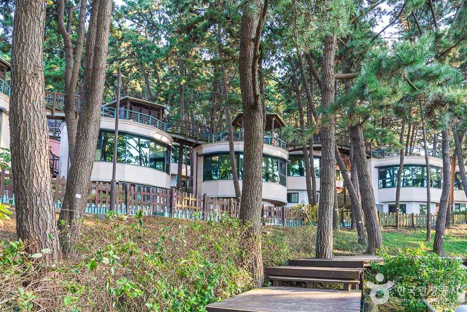 죽도(보령) 이미지 5