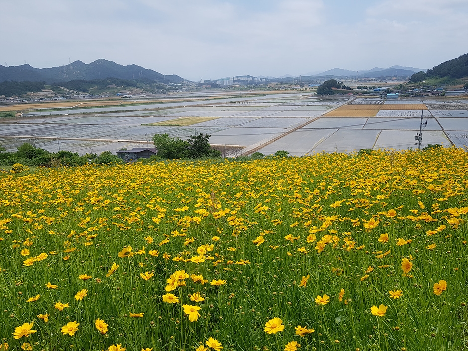 숲쟁이꽃동산 이미지 1