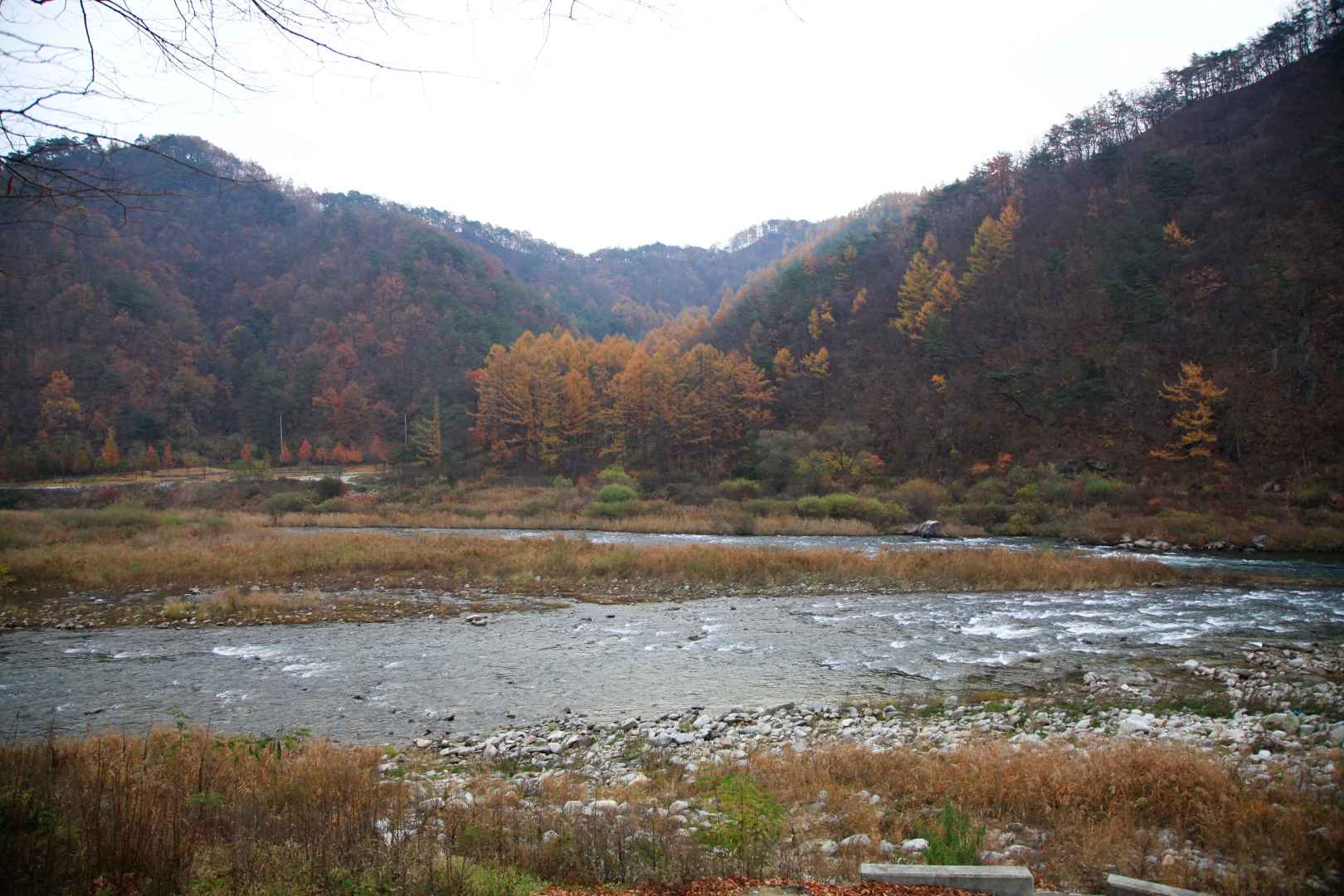 낙동강래프팅 이미지 4