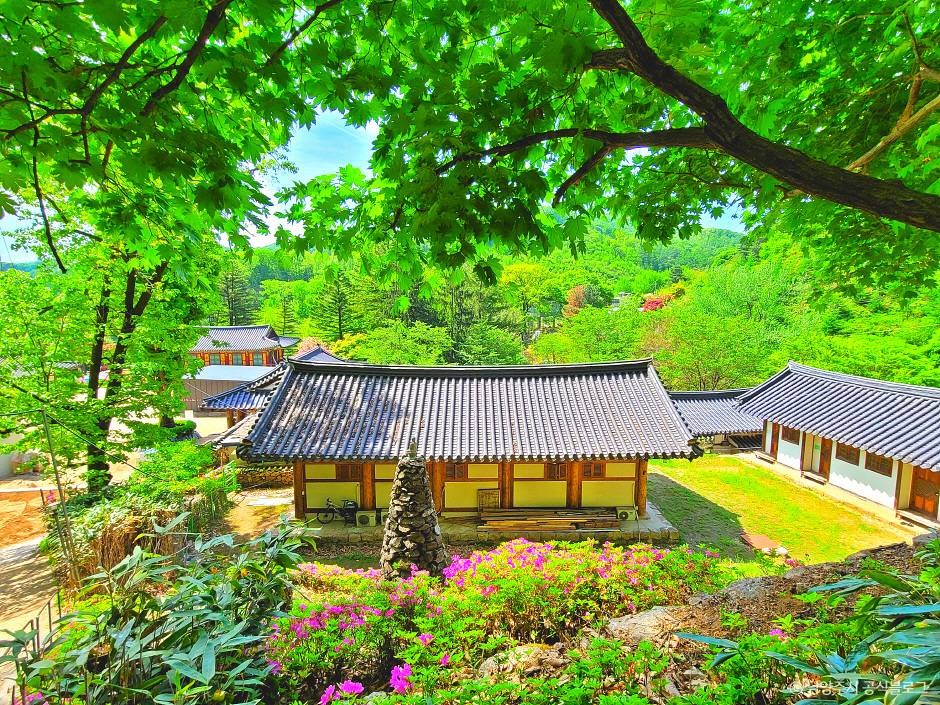 묘적사 이미지 2