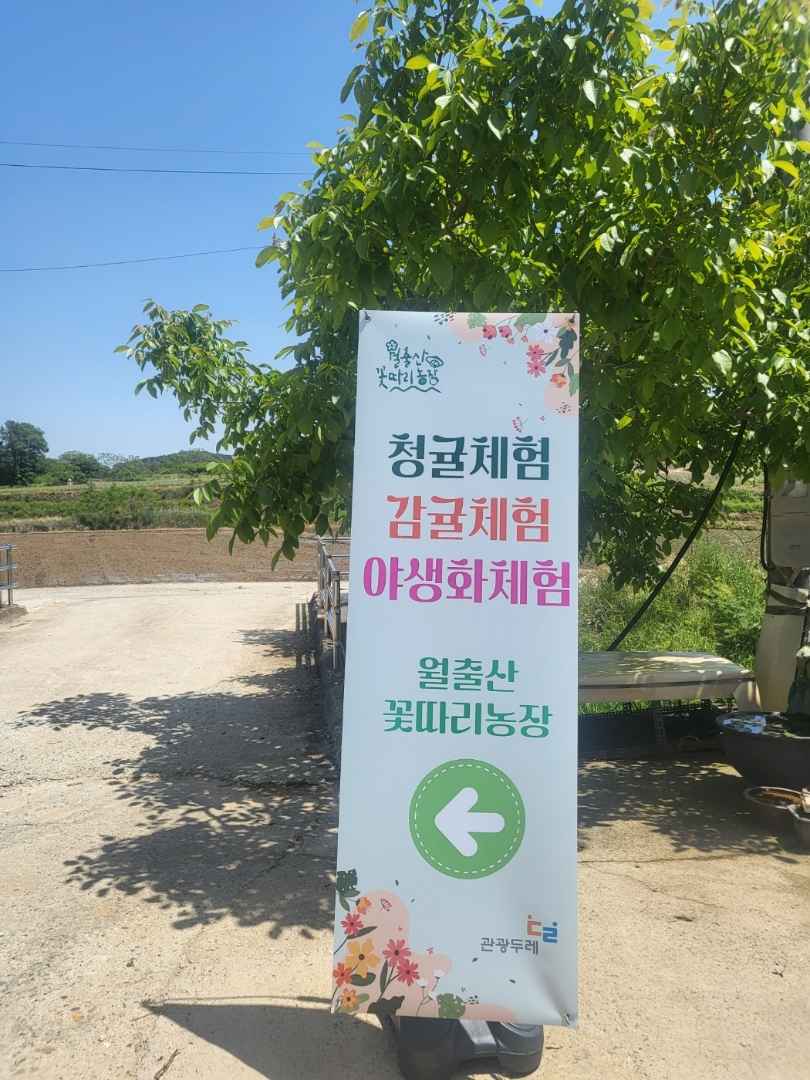 월출산꽃따리농장 이미지 5