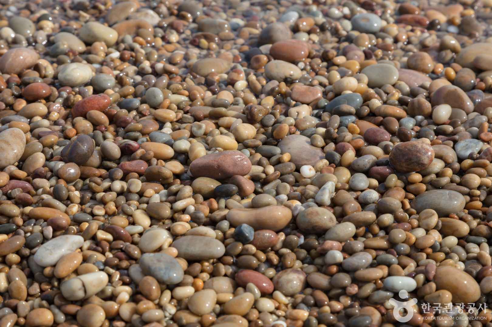 백령도 콩돌해변 이미지 3