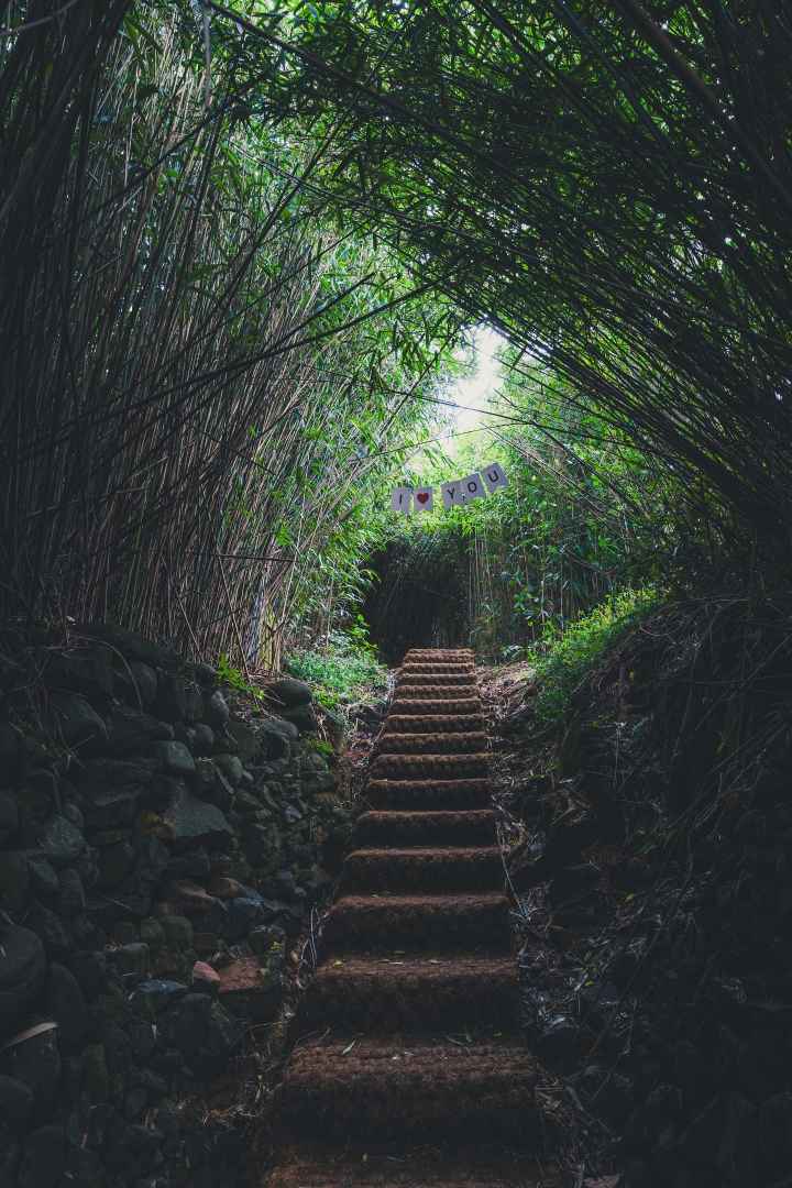 샛바람소리길 이미지 5