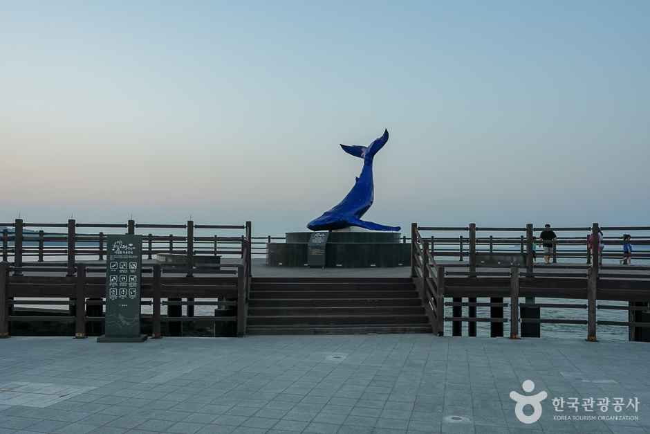 영흥도 하늘고래전망대 이미지 5