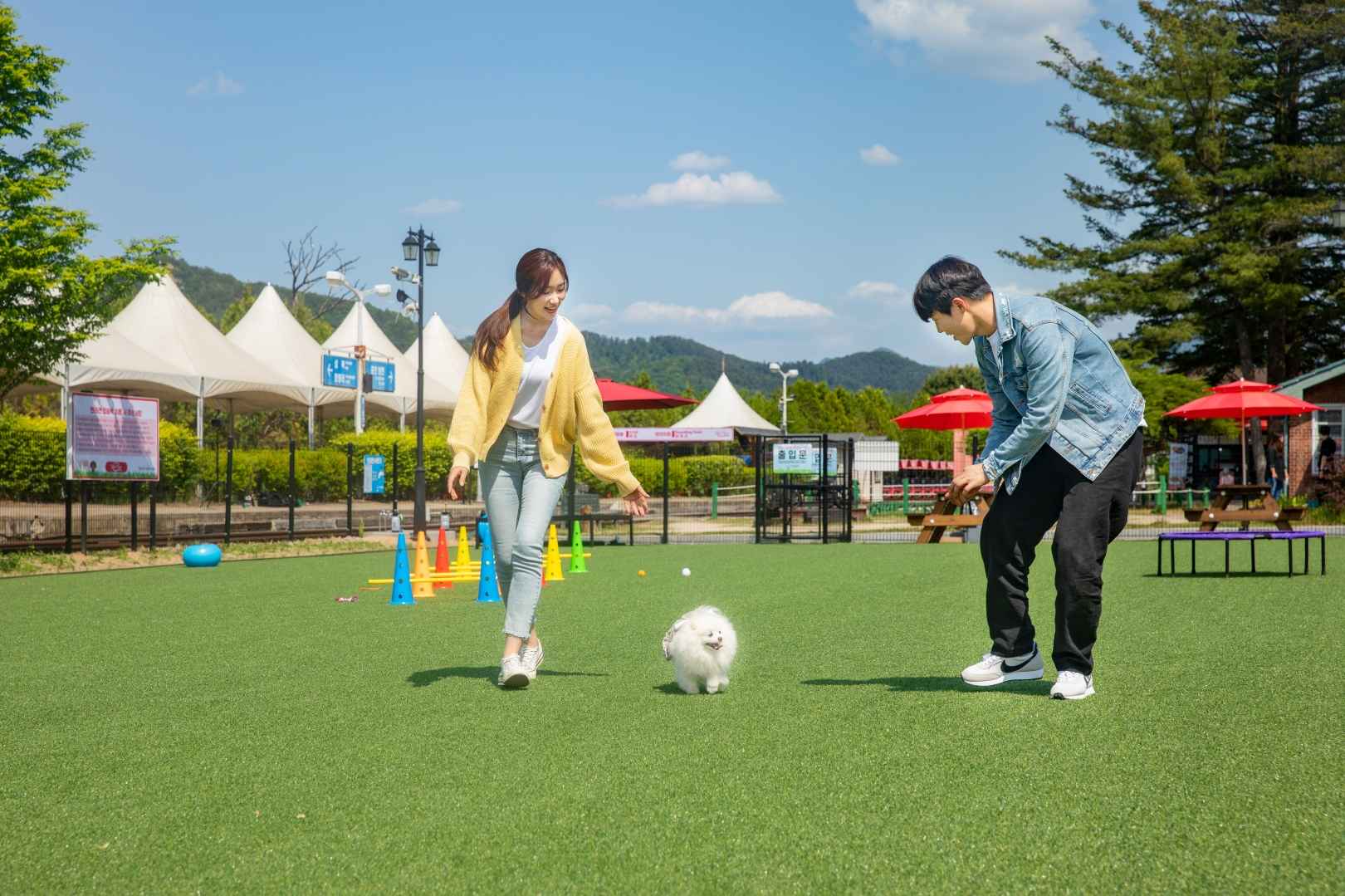 강촌레일파크경강레일바이크 이미지 6