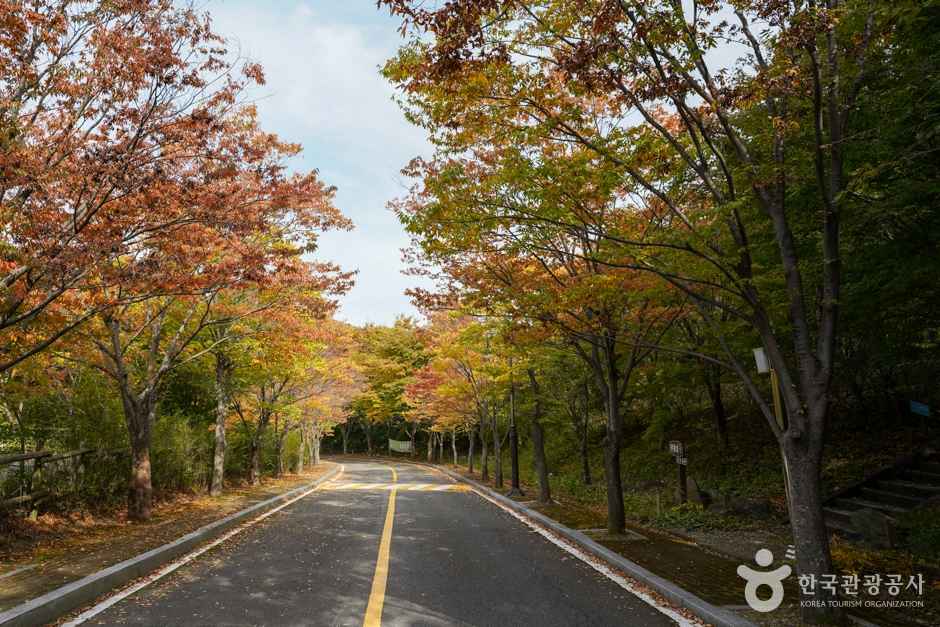 경상북도수목원 이미지 2