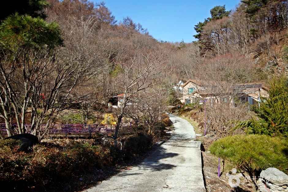 정읍 양떼목장 임실치즈마을 이미지 5
