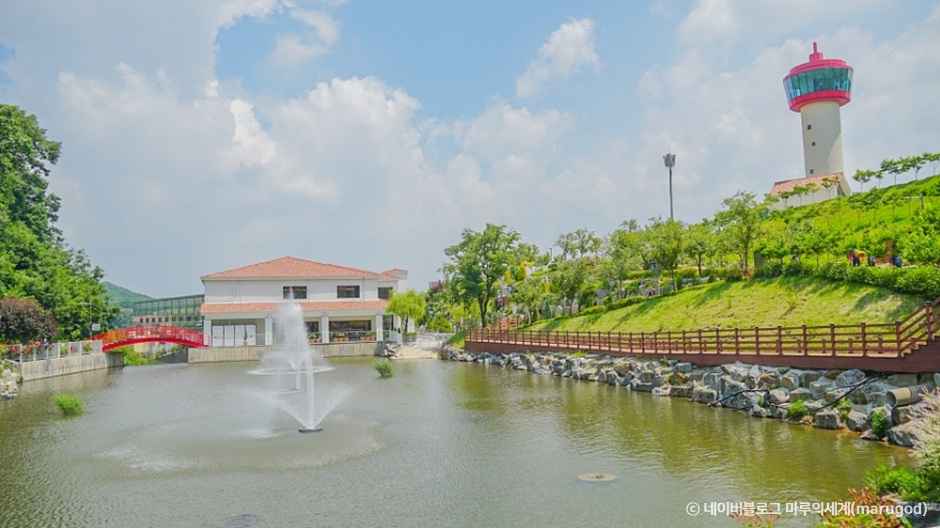 용인자작나무숲 이미지 1